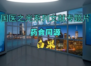 国医之光系列文献专题片 药食同源 白果